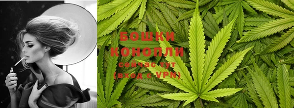 кокаин колумбия Белокуриха