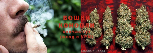 кокаин колумбия Белокуриха